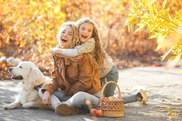 美丽的女孩与黄金猎犬 两个姐姐在外面玩乐 秋天背景的宠物主人 — 图库照片