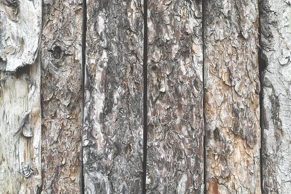 Wooden background. Close up picture of woods.