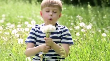 Sevimli küçük çocuk karahindiba ile oynuyor.. 