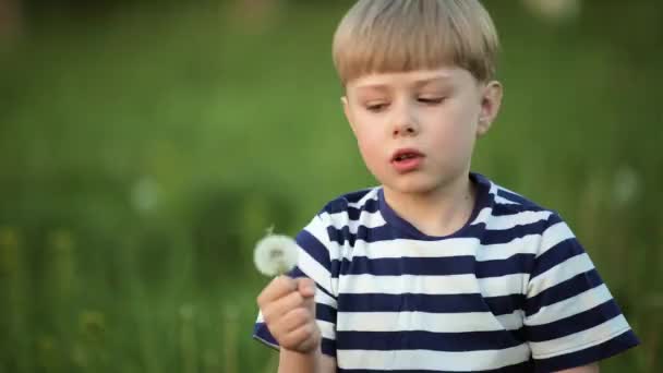 Bonito Menino Brincando Com Dente Leão — Vídeo de Stock