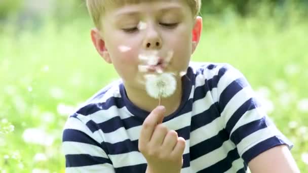 Bonito Menino Brincando Com Dente Leão — Vídeo de Stock