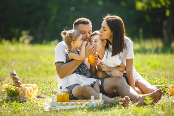 Linda Familia Picnic Mamá Papá Jugando Con Sus Hijos Aire — Foto de Stock