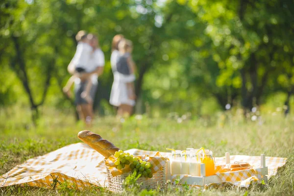 Cute Family Picnic Mom Dad Playing Children Outdoors Park — Stock Photo, Image