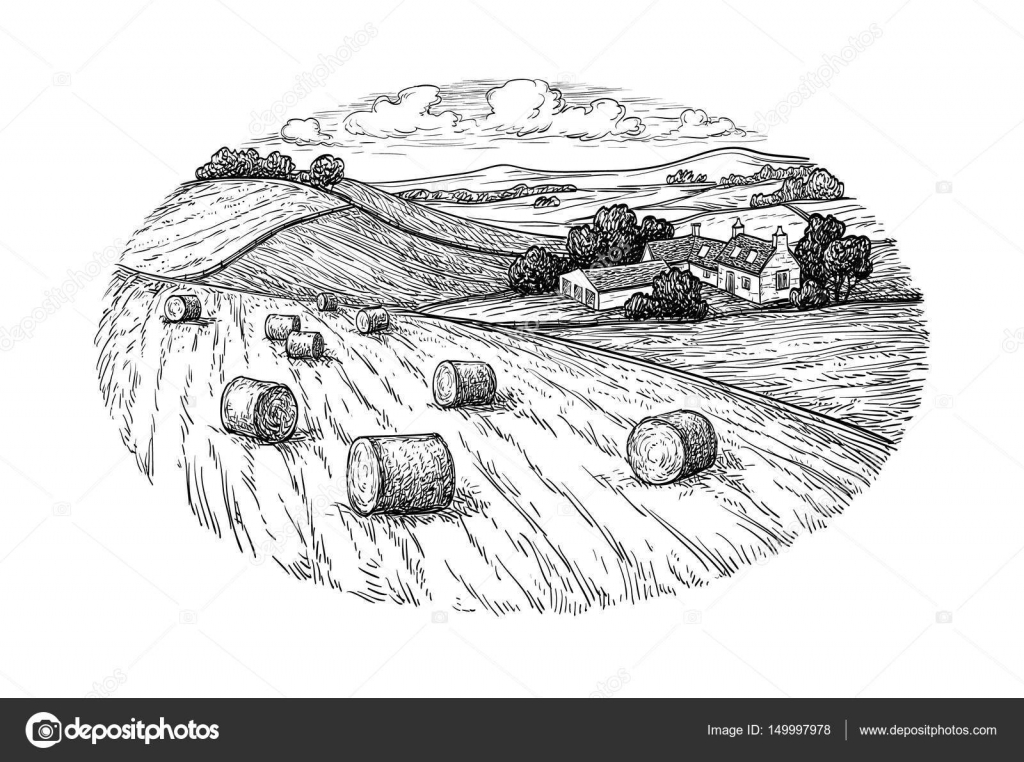 Rural Landscape With Hay Bales Vector Image By C Alhontess Gmail Com Vector Stock