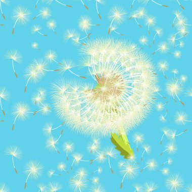 seamless pattern dandelion in the wind shatters close up. vector clipart