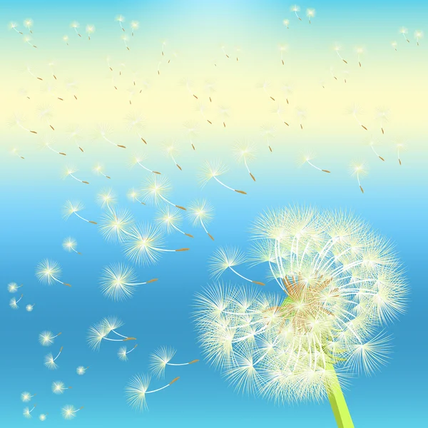 Background dandelion in the wind flying at sunset. vector illust — Stock Vector
