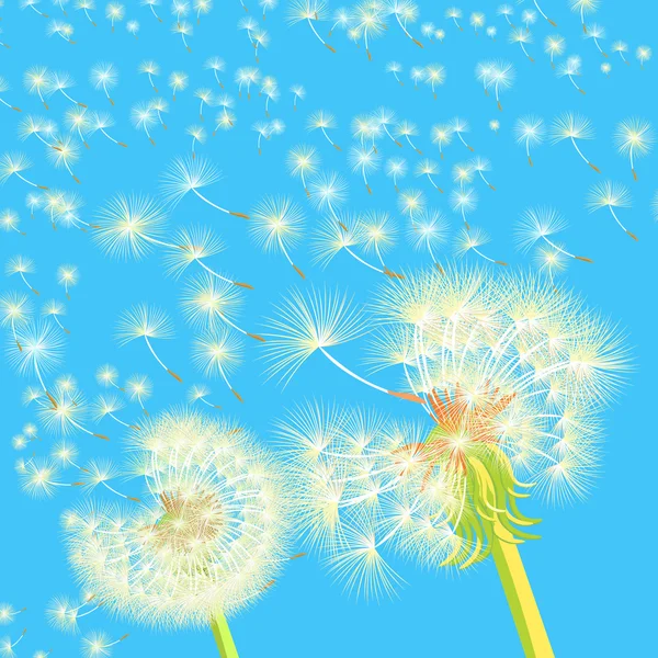 Background couple of dandelions in the wind flying. vector illus — Stock Vector