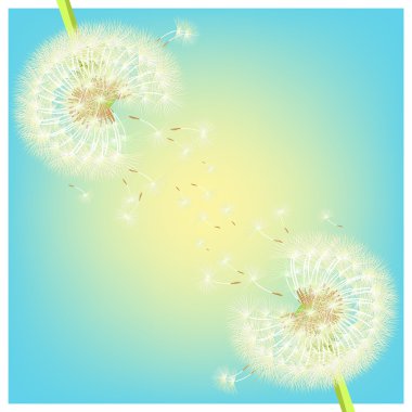 dandelions çift tatil tebrik kartı. vektör illustra