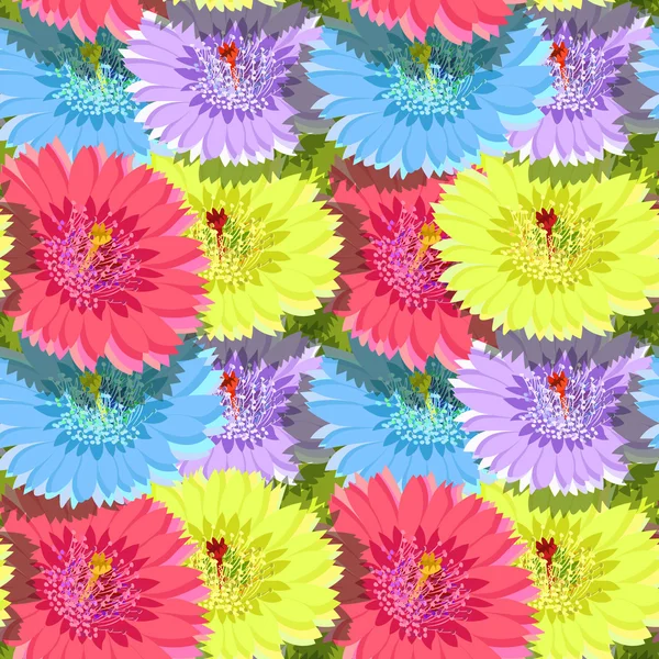Motif sans couture de fleurs de cactus sans trous. vecteur illustra — Image vectorielle