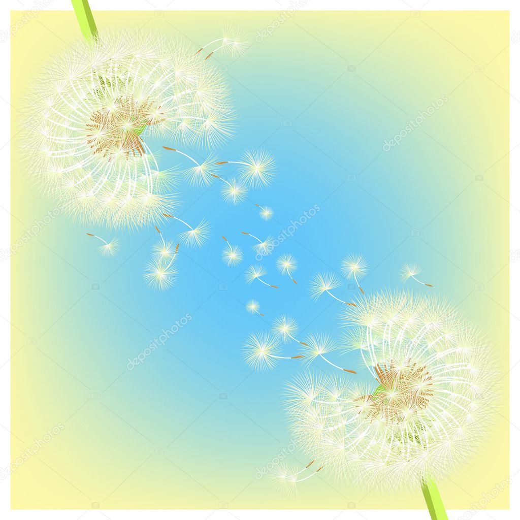 greeting card with dandelions pair of on holiday. vector illustr