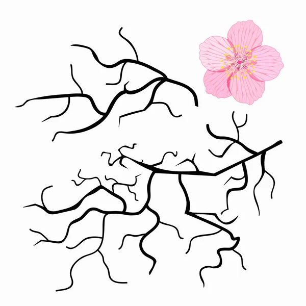 Conjunto de ramas de cerezo japonés. ilustración vectorial — Archivo Imágenes Vectoriales