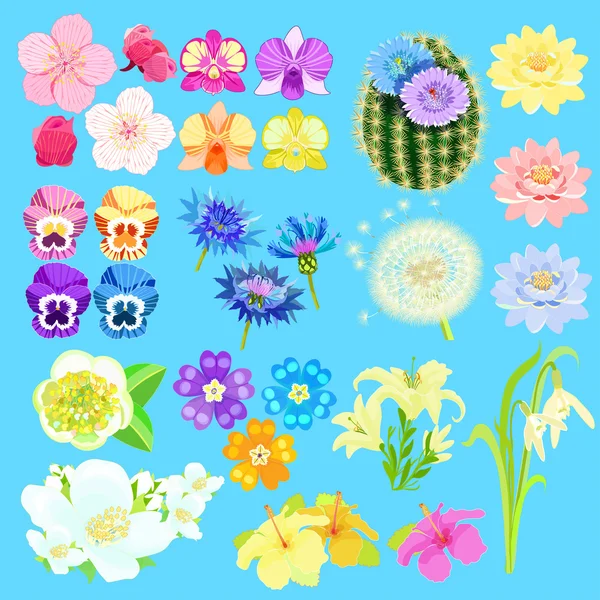 Ensemble de fleurs de lotus, cerise japonaise, orchidée, cactus. vecteur il — Image vectorielle