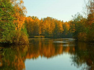sonbahar Forest Lake
