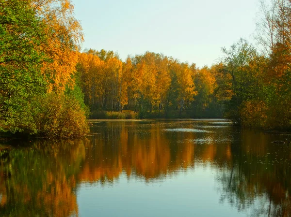 Jezioro w lesie jesienią — Zdjęcie stockowe