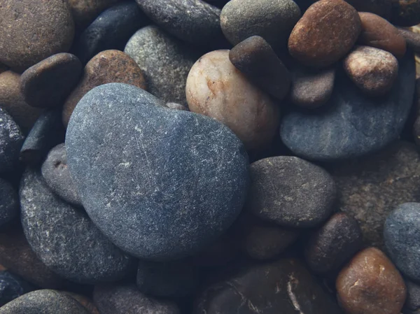 Havet stenar på en bakgrund — Stockfoto