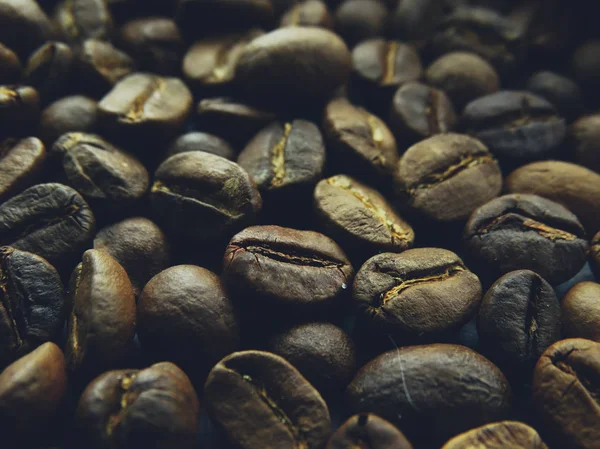 Čerstvé kávové zrna — Stock fotografie