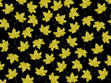 düşen sonbahar yaprakları