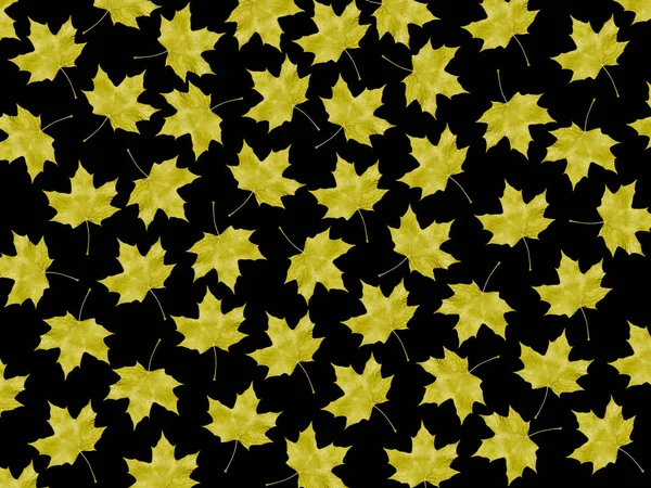 düşen sonbahar yaprakları