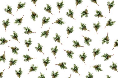 Bir ardıç taze dalları