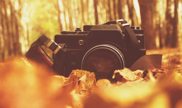 Ekim, 4, 2017 Arzamas, Rusya Federasyonu eski fotoğraf makinesi Zenith — Stok fotoğraf