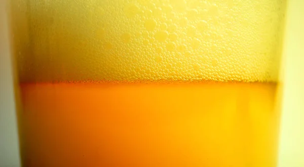 Frissen ízesített sör — Stock Fotó
