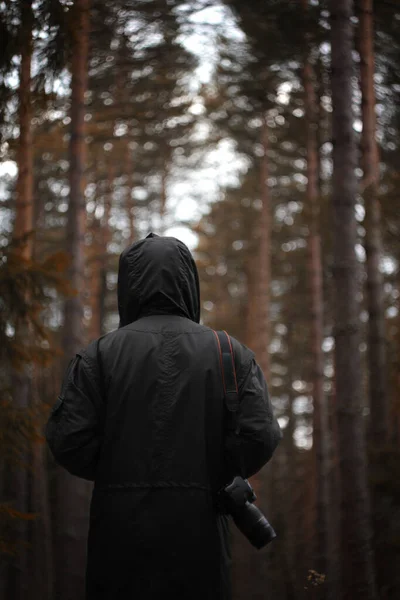 森の中を散歩する写真家 — ストック写真