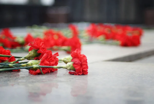 Mémoire Flamme Éternelle Victoire Guerre Fascisme Allemagne Urss Russie Mai — Photo