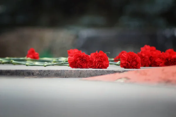 Eternal flame memory war victory fascism Germany USSR Russia May 9 monument to the fallen laying on veterans military medals winning war veterans