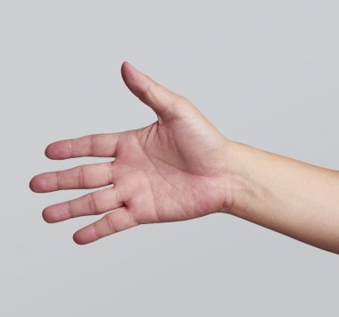 kadın palm açın