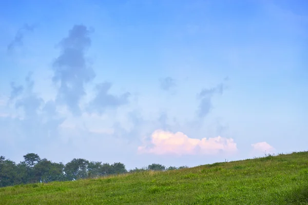 Yeşil çim ve gökyüzü — Stockfoto
