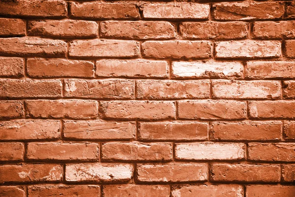 Monochromatyczne texture Brick wall — Zdjęcie stockowe