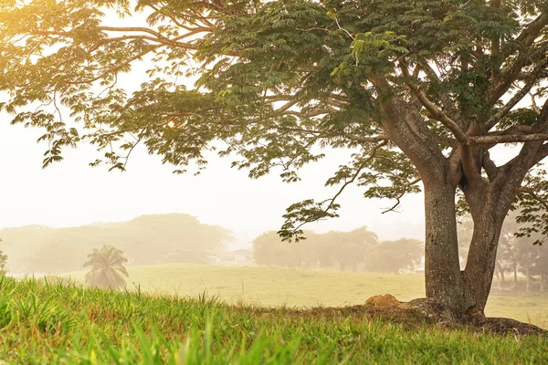 Sunset in hills landscape — Stock Photo, Image