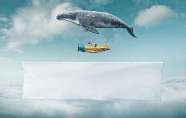 whale with aircraft and two girls over banner