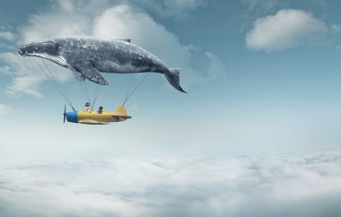 whale with aircraft and two girls over clouds