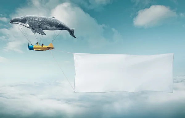 Whale with aircraft and two girls over banner — Stok fotoğraf
