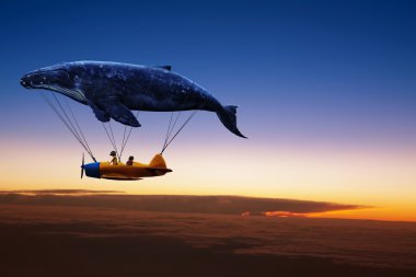 whale with aircraft and two girls over clouds