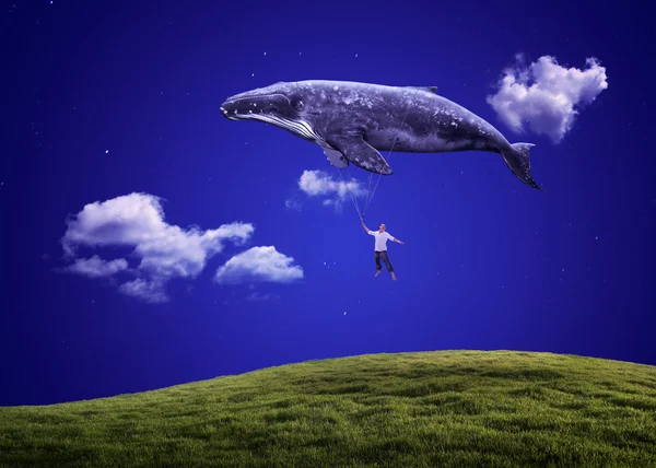 草の上を飛ぶ男と大きなクジラ — ストック写真