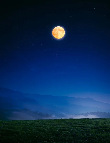 Prado en la noche en la luz de luna llena —  Fotos de Stock