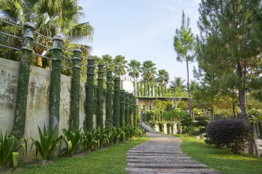 Tropikal Bahçe sokakta