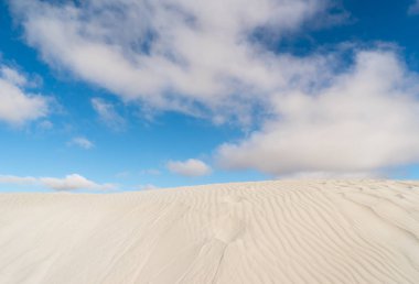 Lancelin kum tepeleri Batı Avustralya