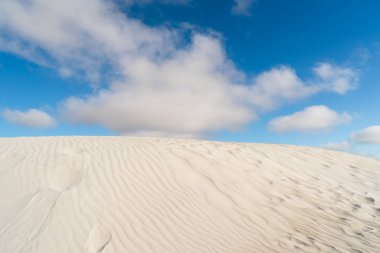 Lancelin kum tepeleri Batı Avustralya