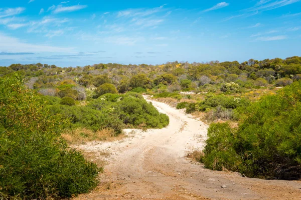 Pad naar het zandstrand — Stockfoto