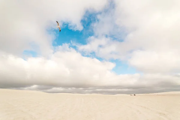 Lancelin Sand Dunes in Western Australia — Stock Photo, Image