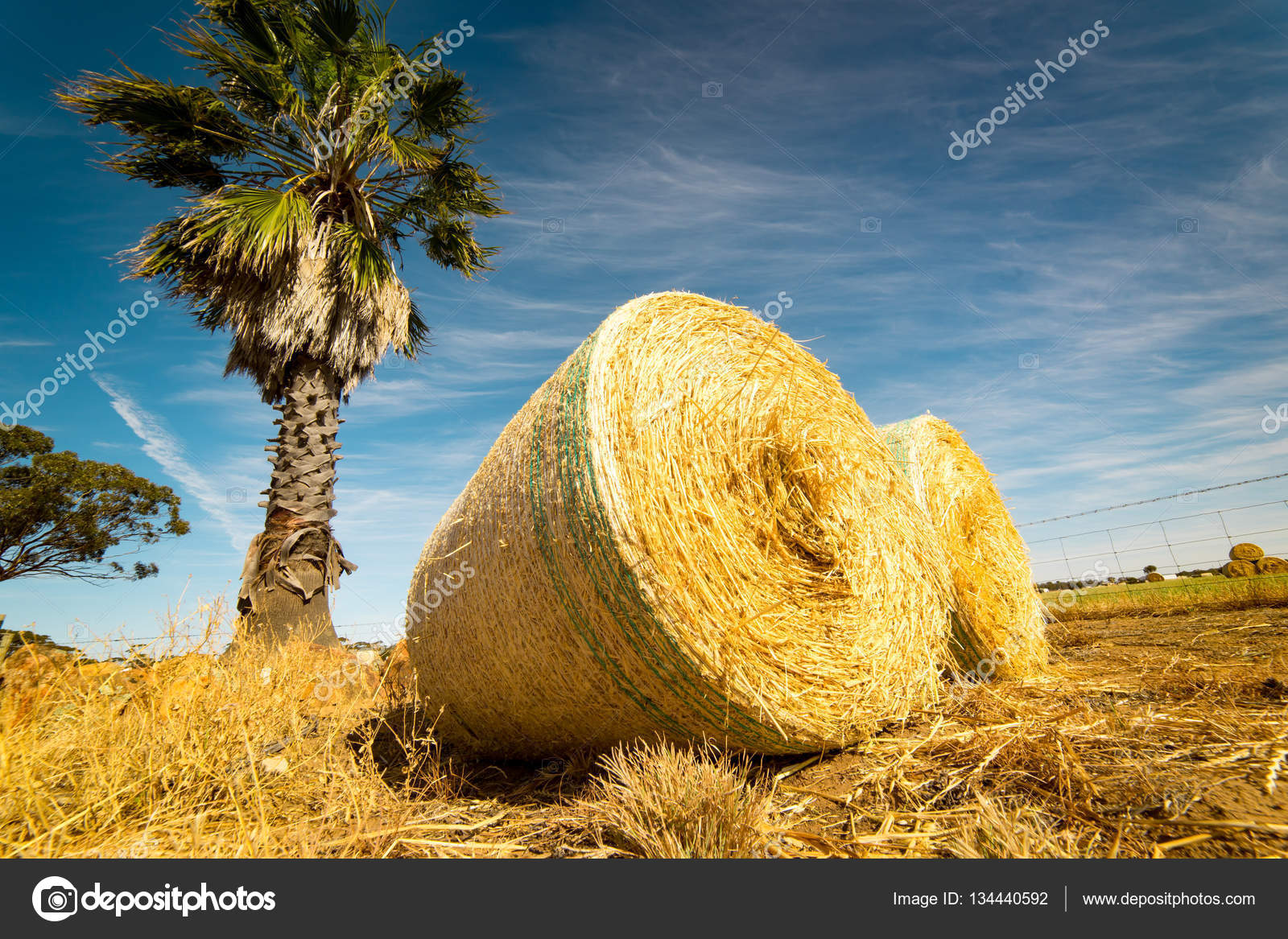 Hay and straw bales in field — Stock Photo © jamesteohart 134440592