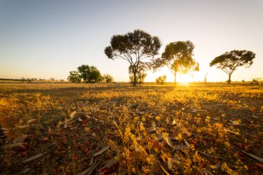 Hyden çiftlik güneş doğarken 
