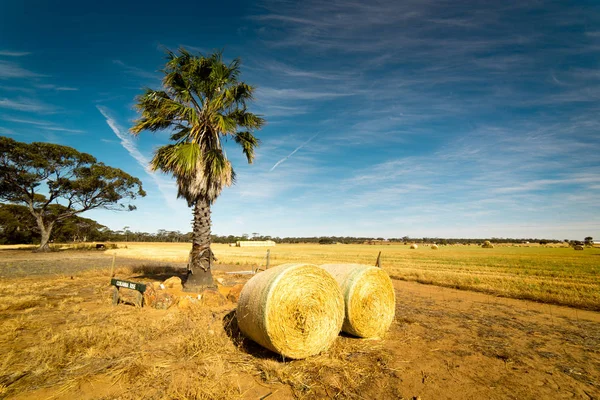 Hooi en stro Balen op gebied — Stockfoto