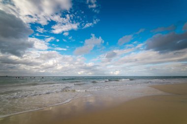 Grup genç sörfçü sahilde 