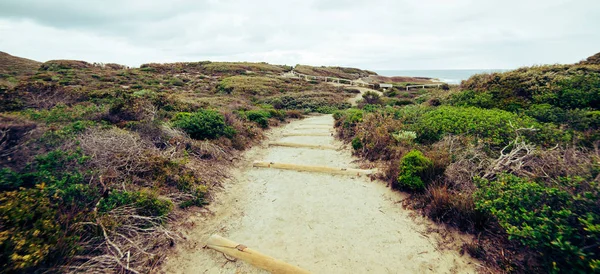 Pasos a la playa en el Parque Nacional TorndirrupNational Park —  Fotos de Stock