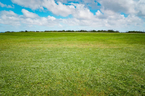 Groen veld onder blauwe lucht — Stockfoto