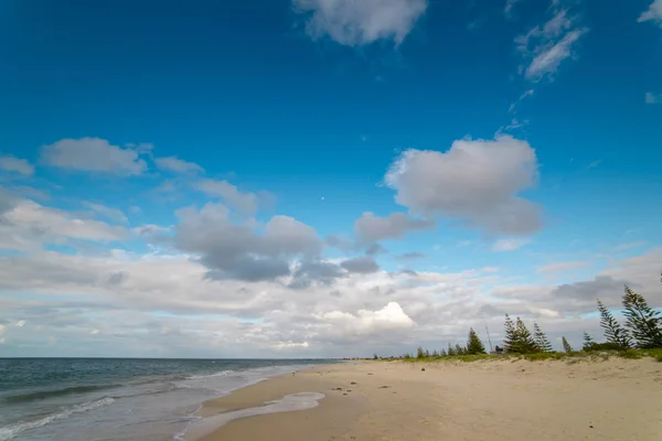 Pinhais em Busselton praia de areia — Fotografia de Stock